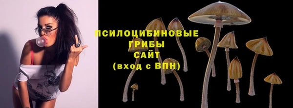 PSILOCYBIN Богородицк