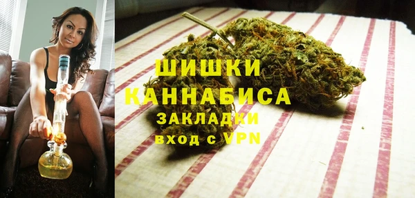 PSILOCYBIN Богородицк