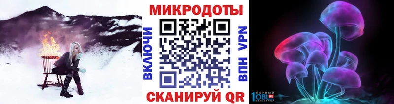 наркота  Демидов  Галлюциногенные грибы Cubensis 